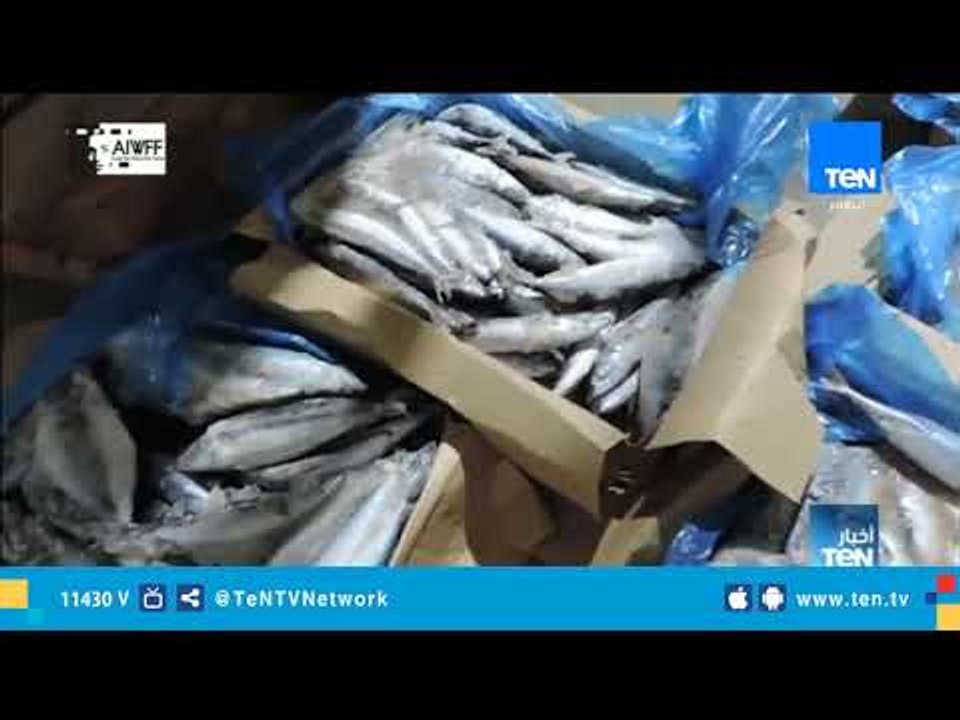 مباحث التموين تضبط 50 طن من الأسماك والكبد الغي...