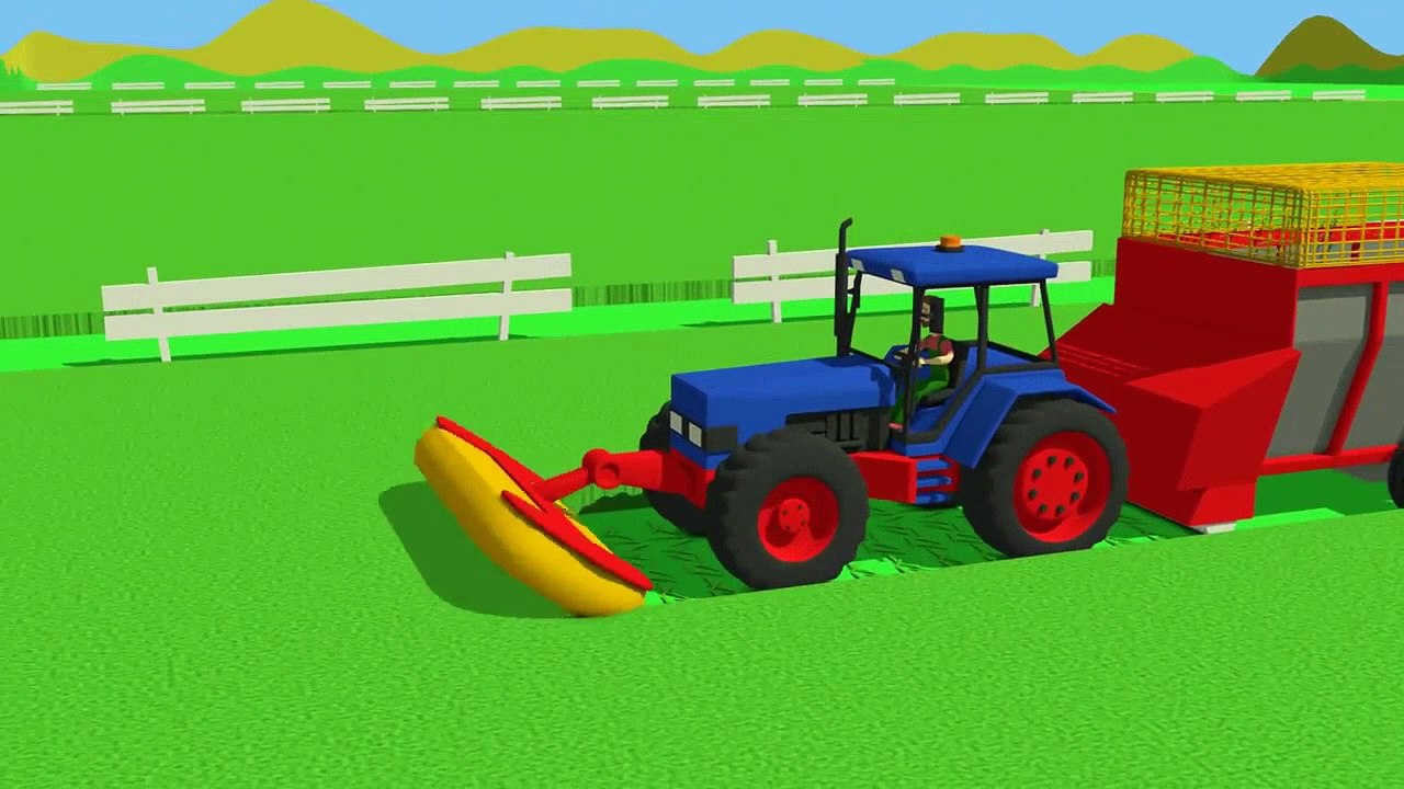 Farm animals and their young - transformed into wild animals | video KIDS | Zwierzęta Bajki