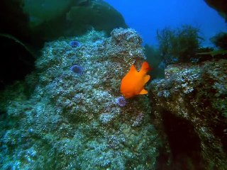 정선출장안마 -신용100%ョØ1Øb9528u0391≪카톡GH600≫정선전지역출장마사지샵'정선출장wo안마gy정선출장마사지황형ħłø조건만남출장콜걸