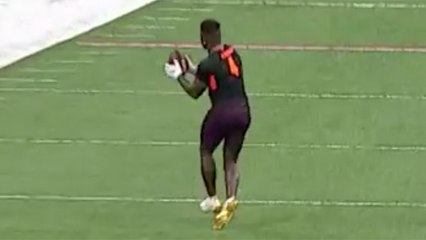 A.J. Brown looks like an outfielder tracking deep ball from McSorley