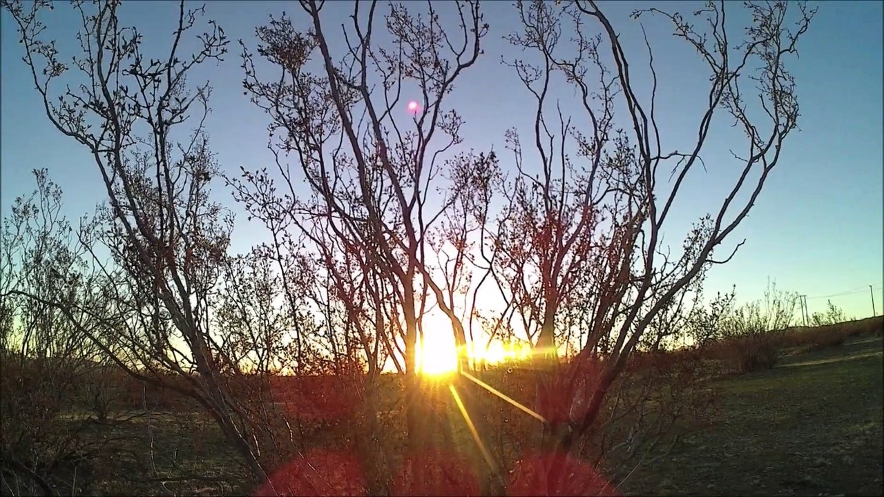 Desert Meditation,  Praying to Jesus and Mary