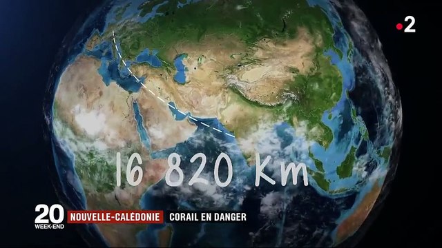 Nouvelle-Calédonie : la barrière de corail en danger
