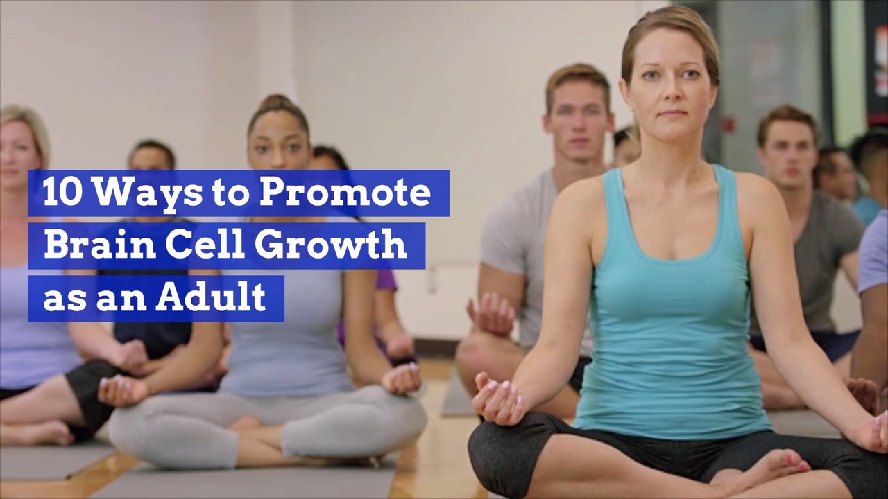 How To Keep Your Brain Cells Growing