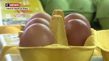 Le boom des œufs issus d'élevages alternatifs