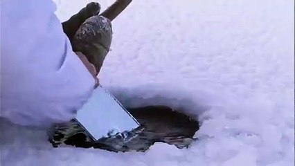 세종출장안마 -100%ョ안전Ø7Øk7575vØØ69{MGM1472카톡}세종전지역출장마사지샵세종출장hk안마co세종출장마사지황형ノハバ출장콜걸출장샵