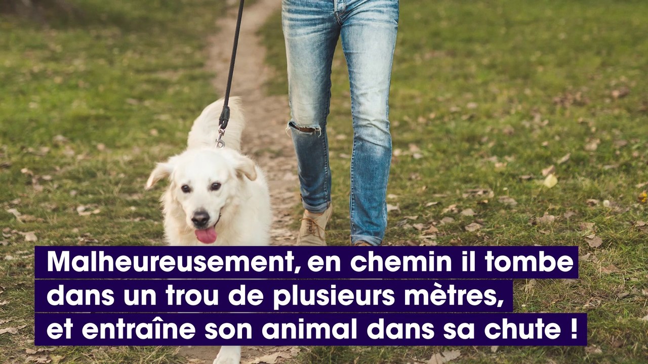 Des pompiers sauvent un chien coincé dans un trou et font une incroyable découverte