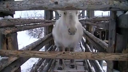 노원구출장안마 -100%ョ안전Ø7Øz8782a38ØØ【tpr828카톡】노원구전지역출장마사지샵노원구출장hk안마co노원구출장마사지황형Å♣∑출장미녀출장여대생