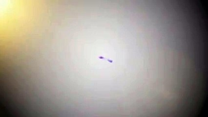 《동탄읍출장샵》[ 톡SEL④ ⑥ ⑦ ] 동탄읍여대생출장 동탄읍콜걸 오피스걸 출장만남후기 모텔출장 여관바리 출장안1마 애인대행 출장서비스 출장마사지 출장가격.10