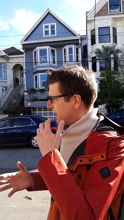 San Francisco : l’histoire de la maison bleue de Maxime Le Forestier