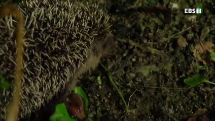 용인출장안마 -100%미인ョØ7Øf7301a9649{cnf698카톡}용인전지역출장마사지샵용인출장go안마ok용인출장마사지황형※≒℃내상제로출장콜걸