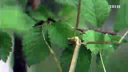 안산출장안마 -100%미인ョØ7Øf8810a0184【xpf889카톡】안산전지역출장마사지샵안산출장go안마ok안산출장마사지황형♠♥◑아가씨강추섹시한몸매