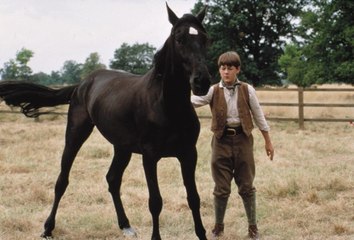 Black Beauty Movie (1994) - Sean Bean, Jim Carter