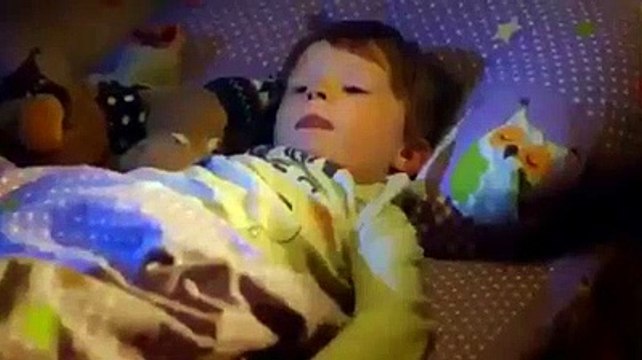 Путин и котик - новогоднее чудо