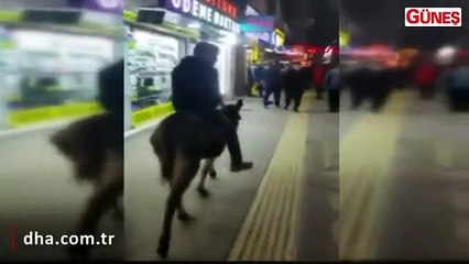 ''Eşeğimin yakıtı yok ama 20 lira masrafı var"