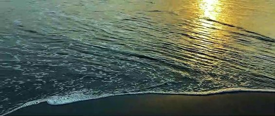 Nil Doriya (নীল দরিয়া) - Bohubrihi (বহুব্রীহি) the Band - Cover song