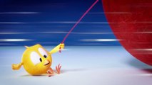 Dessin Animé en Francais - Où est Chicky (10 Épss) Collection #4 | Animation mvies For Kids