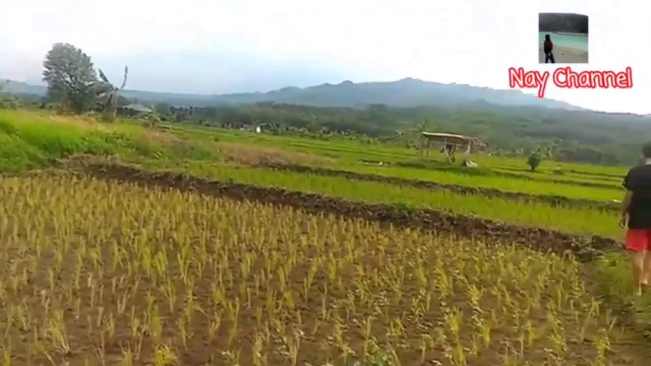 GOD BLESS YOU ( FOR MY FAMILY )