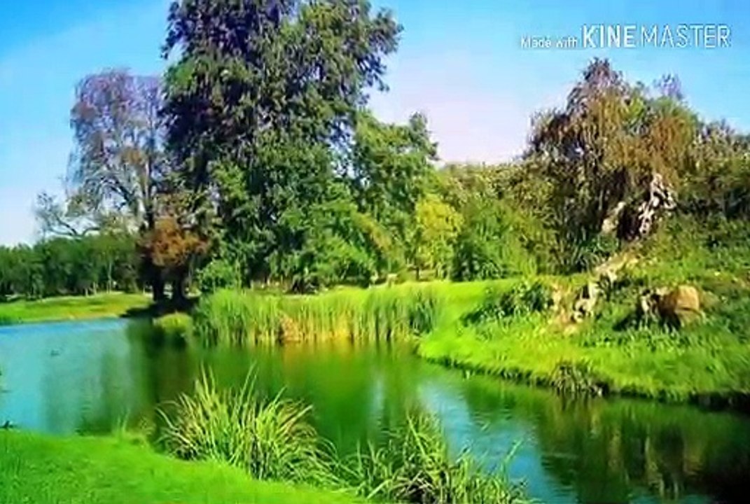 खुदपर विश्वास कैसा हो ?   wisdom