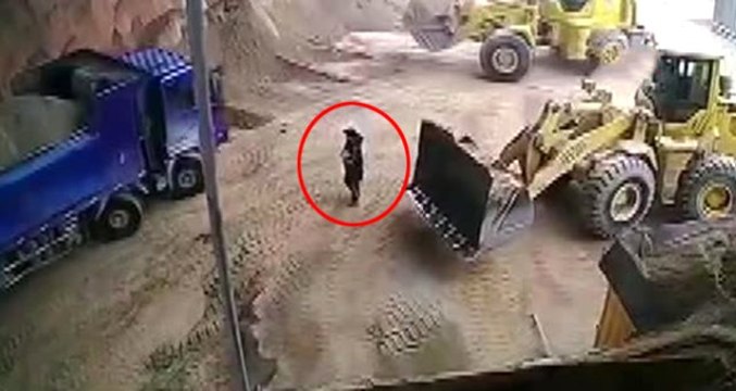 Kepçe Operatörü, Fark Etmediği Kadını Kepçe İçine Alıp Kamyonun Kasasına Bıraktı