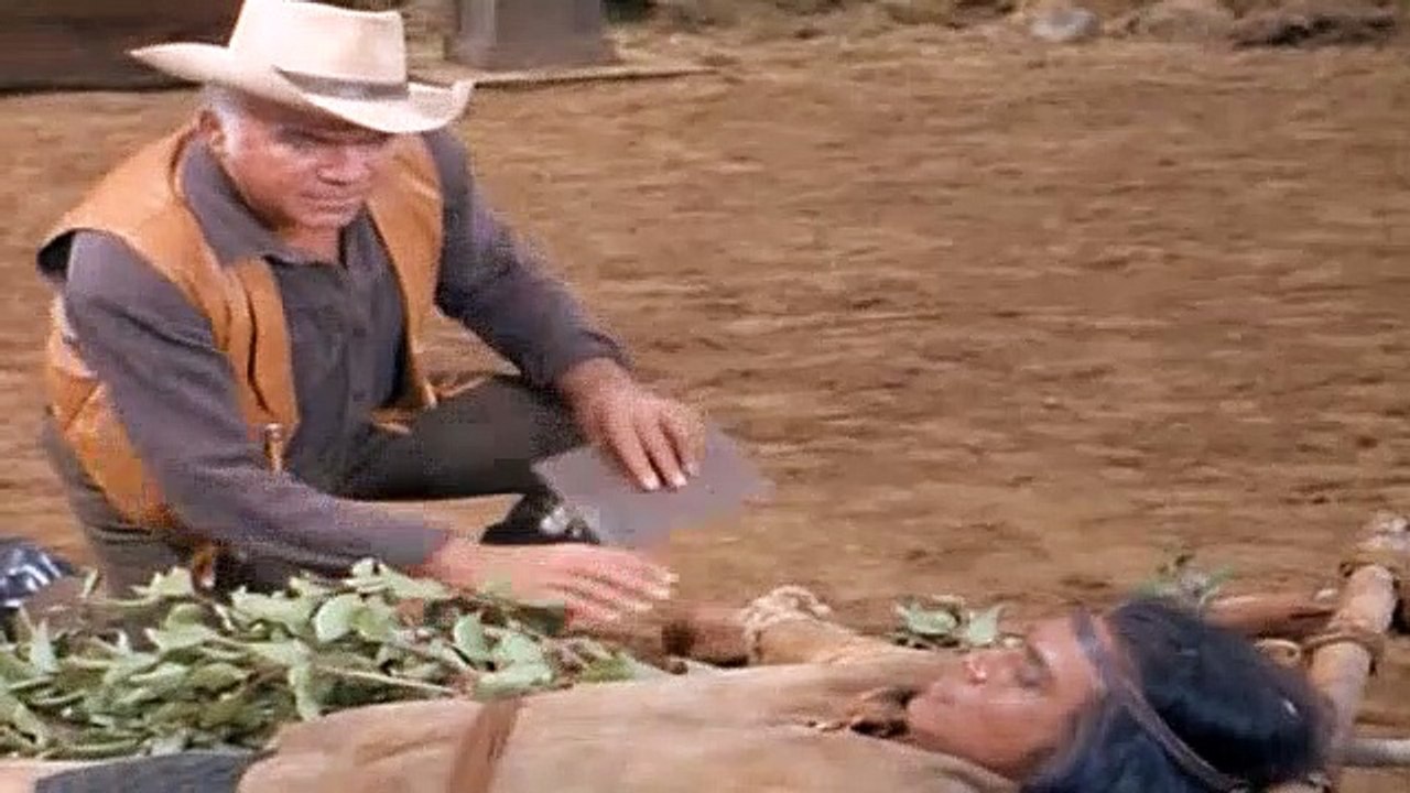 Bonanza S07E16 To Kill a Buffalo