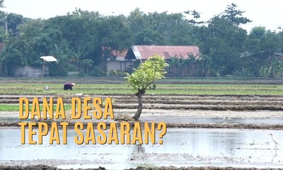 Dana Desa Tepat Sasaran? - JEJAK KASUS