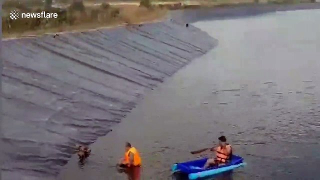 Rescue worker swims across deep reservoir to save drowning dog