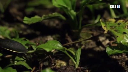 속초출장안마 -100%미인ョØ7Øv7575vØØ62{OYO78카톡}속초전지역출장마사지샵속초출장go안마ok속초출장마사지황형ニヌネ최강몸매콜걸샵