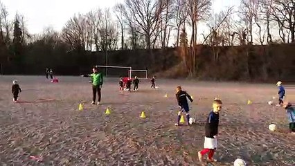 Reprise ent. Pitchounes fin février .