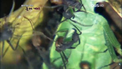 군산출장안마 -100%미인ョØ7Øv4949h6356≪GM1212카톡≫군산전지역출장마사지샵군산출장go안마ok군산출장마사지황형りるれ콜걸샵최고의서비스