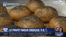 Le pain aux graines de pavot nous drogue t-il ? Le pavot contiendrait trop de morphine et de codéine