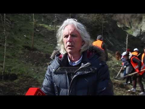 Fushata e mbjelljes së pemëve vazhdon edhe në Gjirokastër - Top Channel Albania - News - Lajme