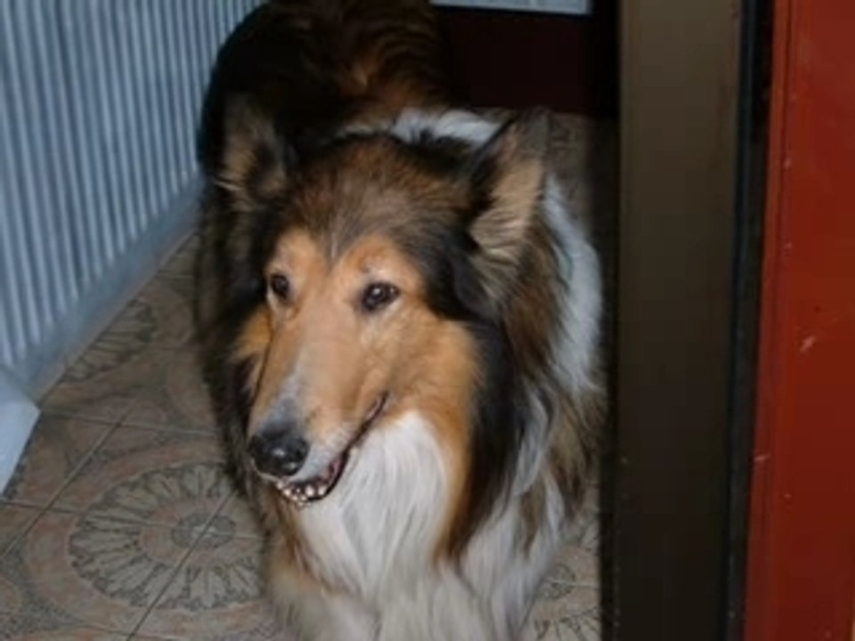 Gravitation - mon ptit frère