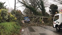 La rue Blaise-Pascal barrée après la chute de trois arbres