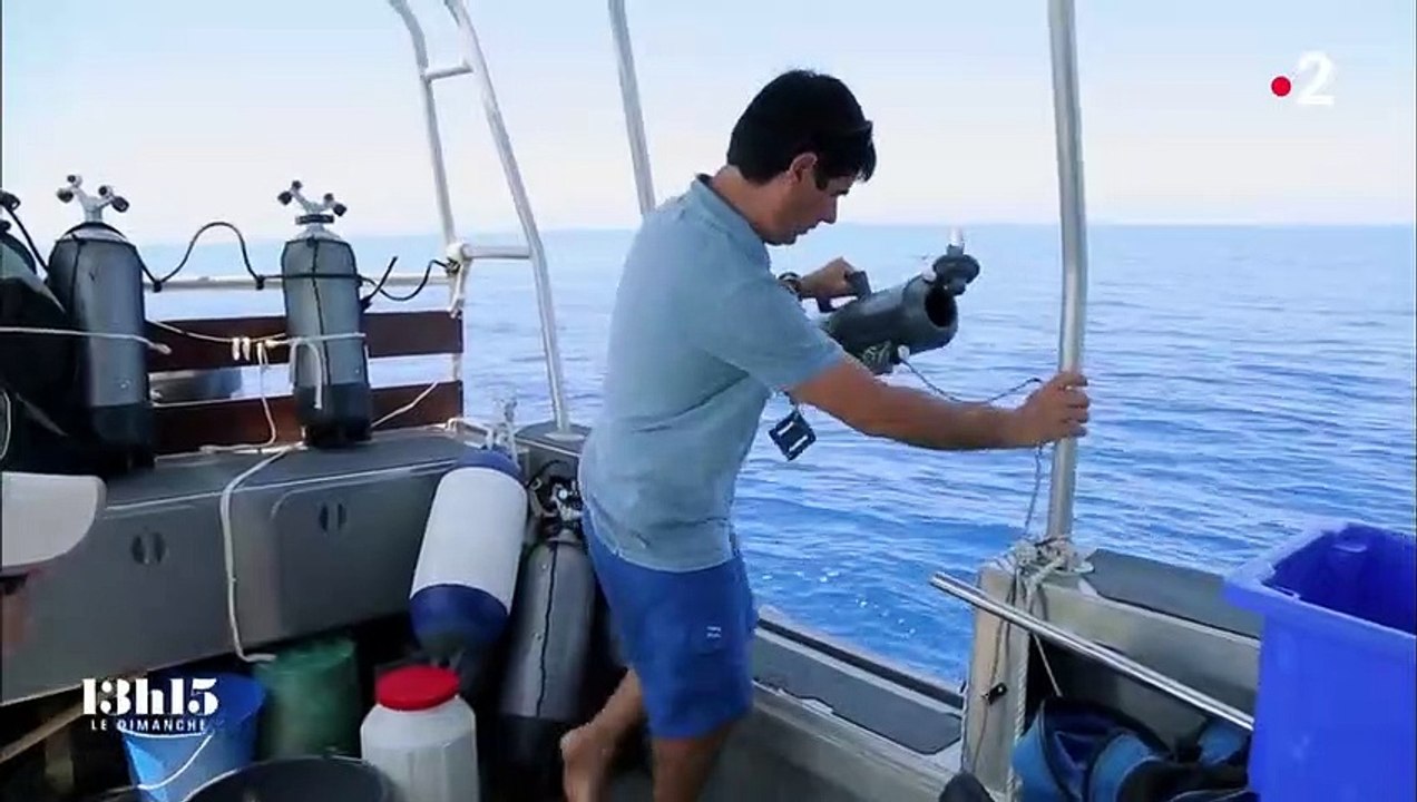 Nouvelle-Calédonie : la technique de l'ADN environnemental pour la protection de la biodiversité sous-marine