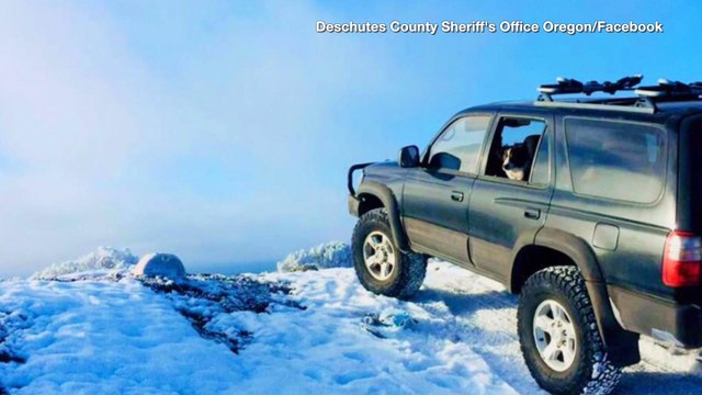 Man and His Dog Stuck in Snow, Survive By Eating Taco Sauce Packets