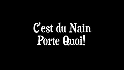 C'EST DU NAIN PORTE QUOI! (Présentation de la chaine)