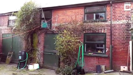 Evinde 100den Fazla Yılanla Yaşayan Kadın