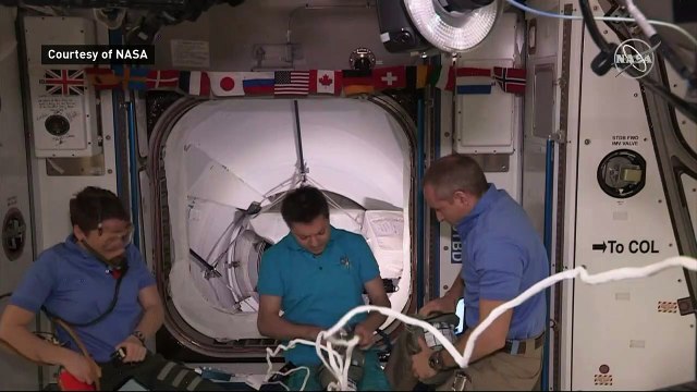 Cheers of joy as SpaceX capsule docks!