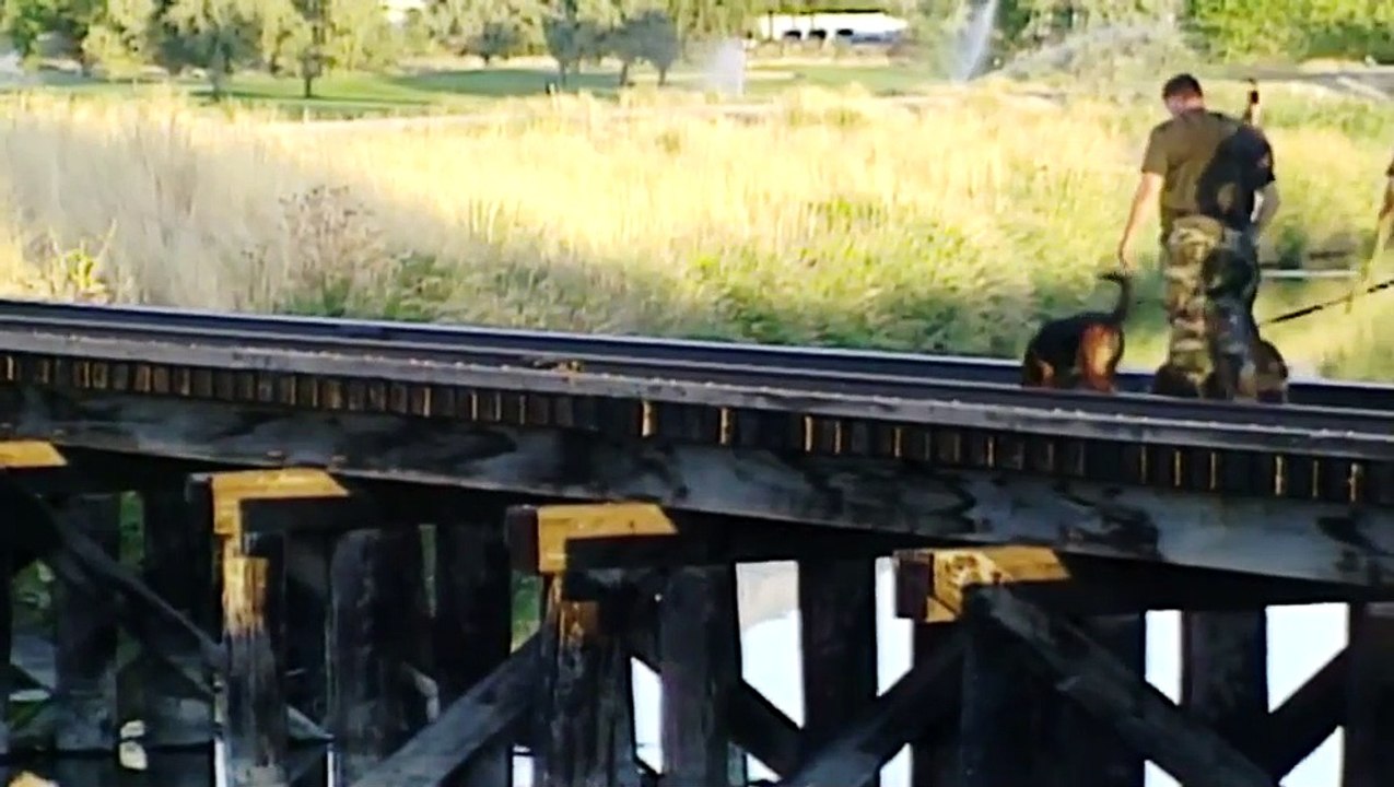 On the Case E02 Shes Gone