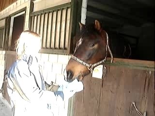 Ballade avec Stella et autre 006