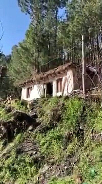 surgical strike 2