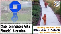 Chase Bank engages in financial terrorism -Walkies with Abby