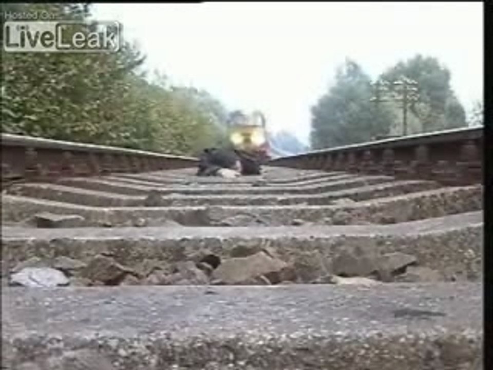 Crazy Train Stunt