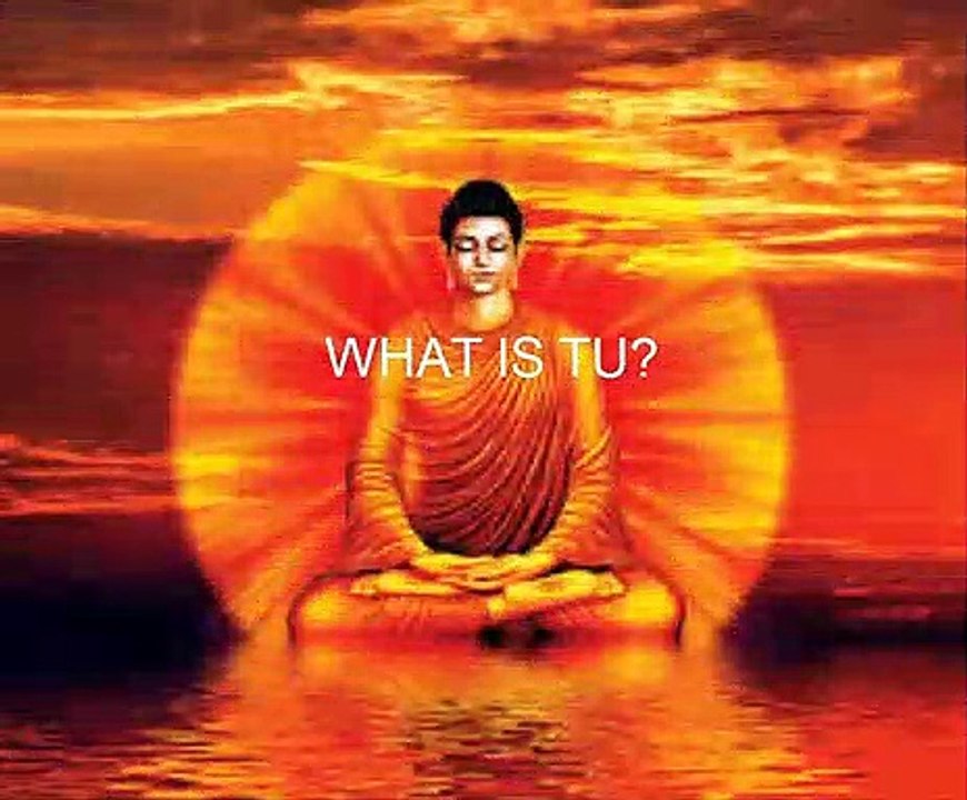 WHAT IS TU?