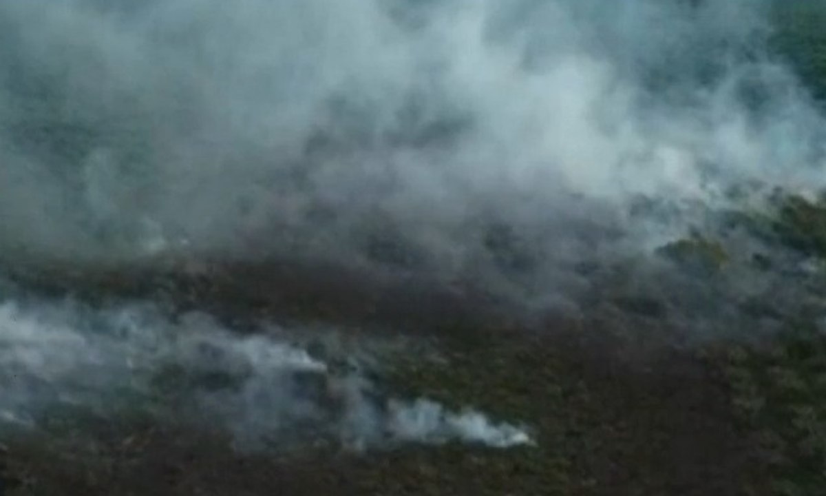 10 Hektar Lahan Gambut di Aceh Terbakar, Pemicu karena Kelalaian Masyarakat