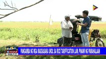 Pangamba ng mga magsasaka ukol sa Rice Tariffication Law, pinawi ng pamahalaan