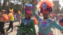 La ausencia de algunas comparsas desluce el desfile del Carnaval Nacional dominicano
