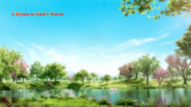 Christian Song God Silently Provides for Everyone | The Grace of God Is Great