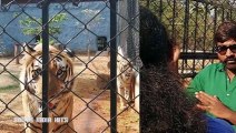 Actor vijay sethupathi adopts two tiger cubs from vandalur zoo(tamil)