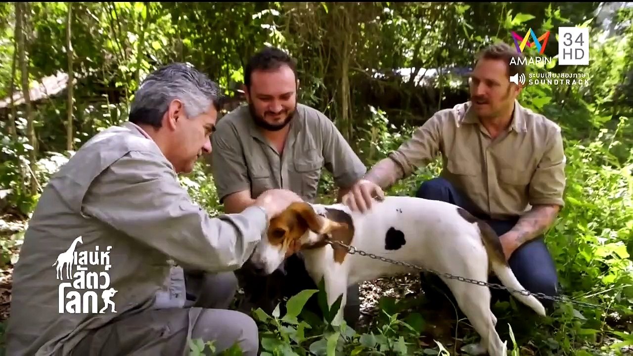 สารคดี บุกป่าเม็กซิโก EP.1